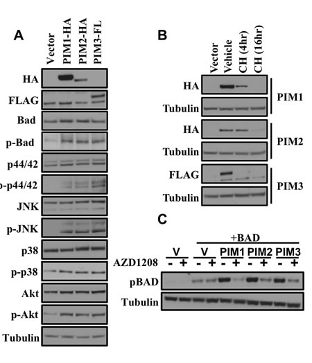 fig3