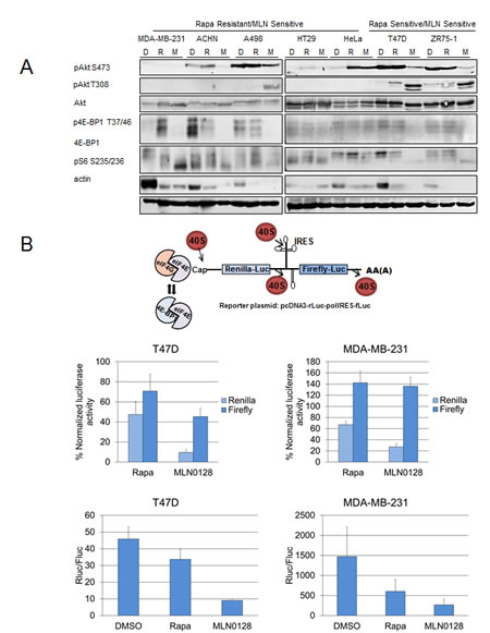 fig2
