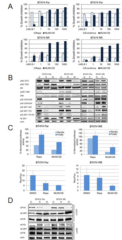fig4