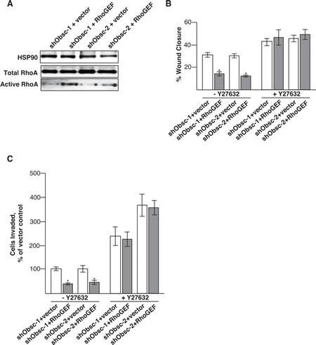 fig2