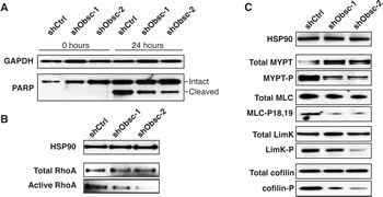 fig3