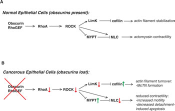fig6