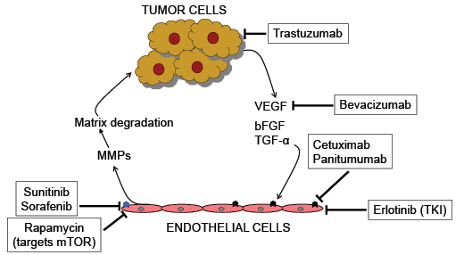 fig1.pdf