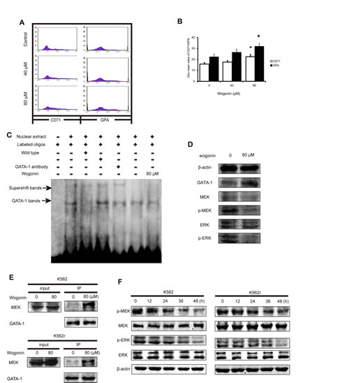 FIG4