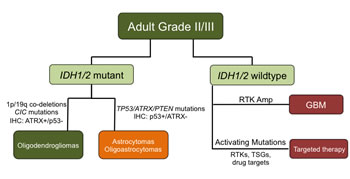 fig5