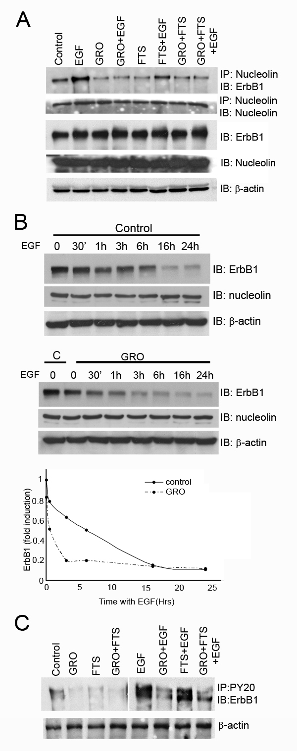FIG1