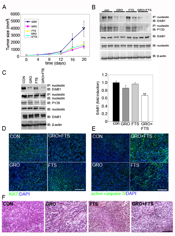FIG6