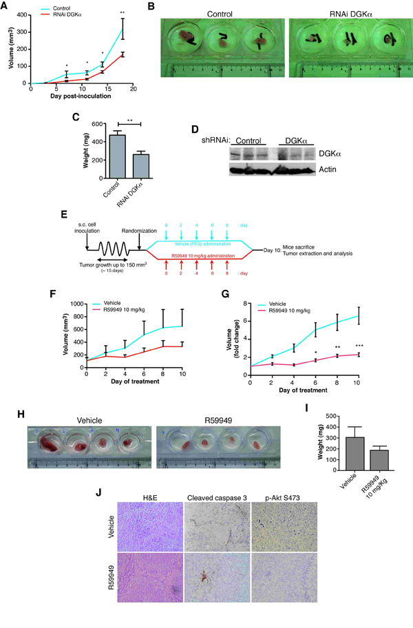 fig2
