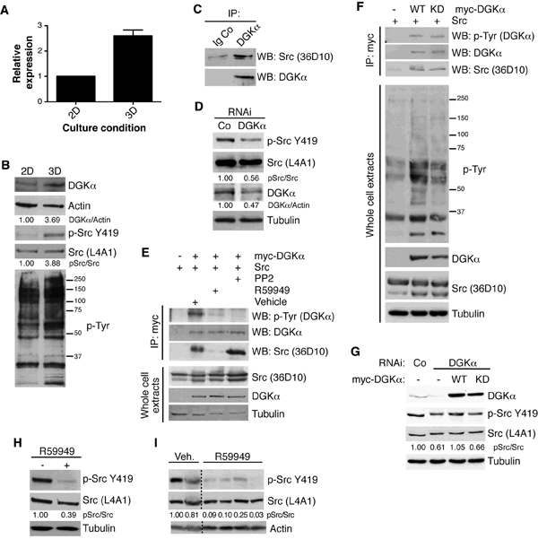 fig3