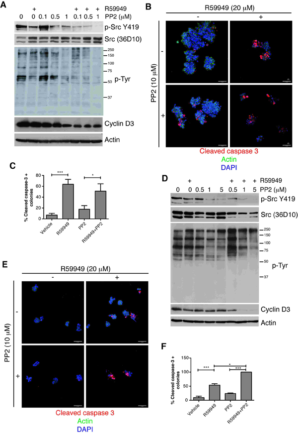 fig4