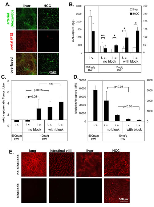 fig3