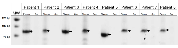 fig1.pdf