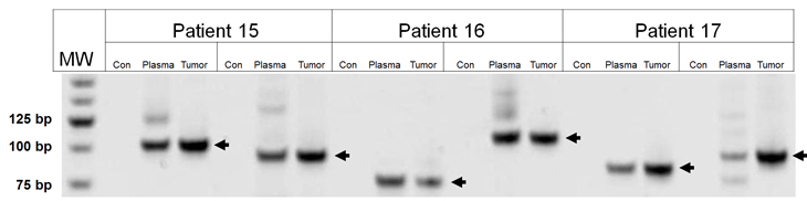 fig2.pdf