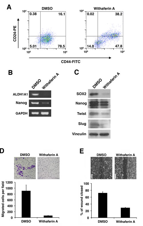 fig5