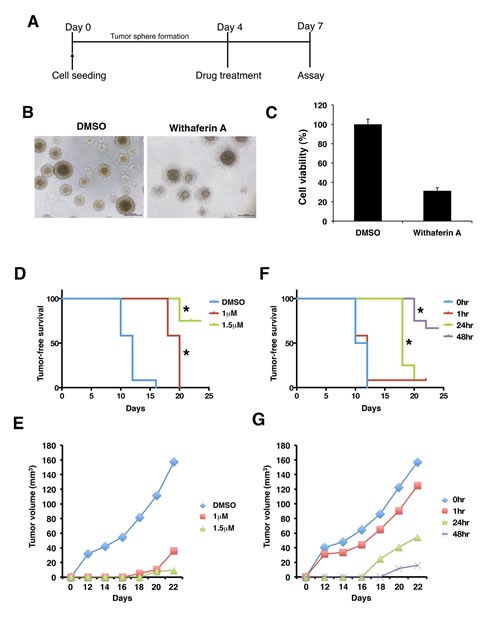 fig6
