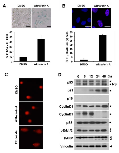 fig7