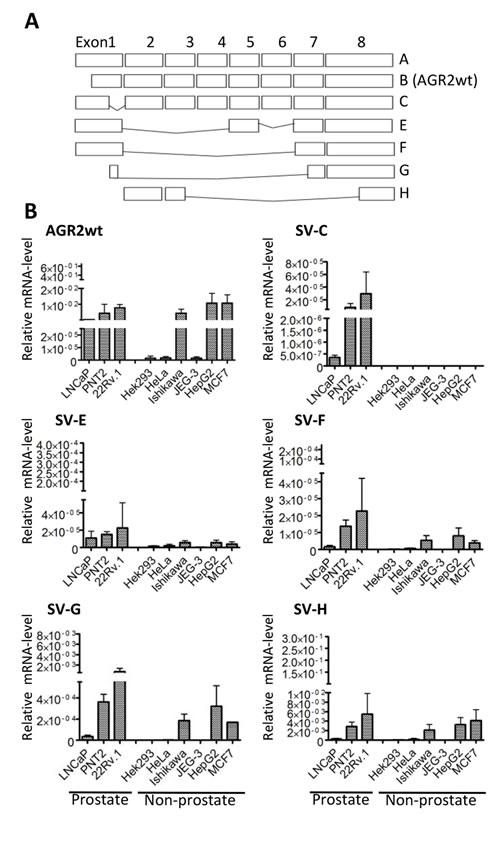 fig1