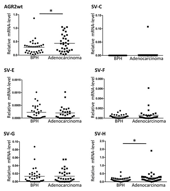 fig2