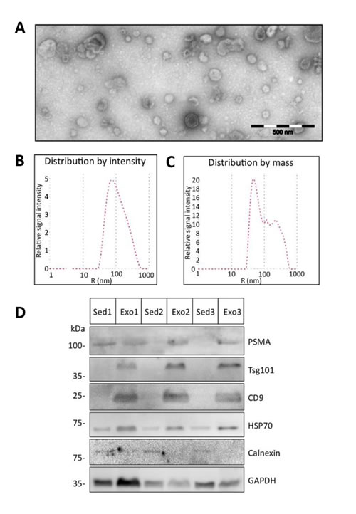 fig3