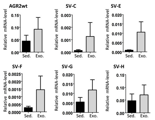 fig4