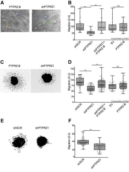 FIG3