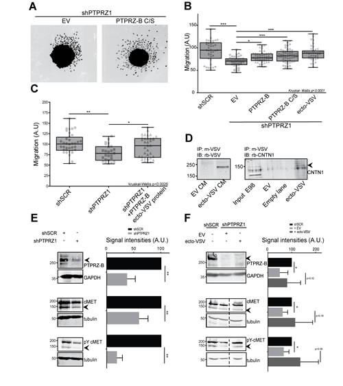 FIG6