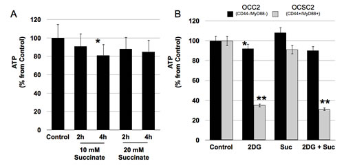 FIG3
