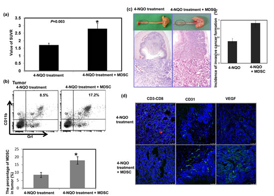 FIG3