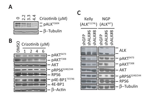 fig1