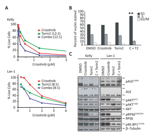 fig3