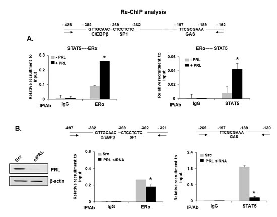 fig3