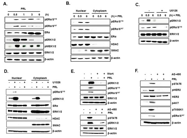 fig4