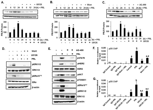 fig6