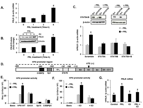 fig1