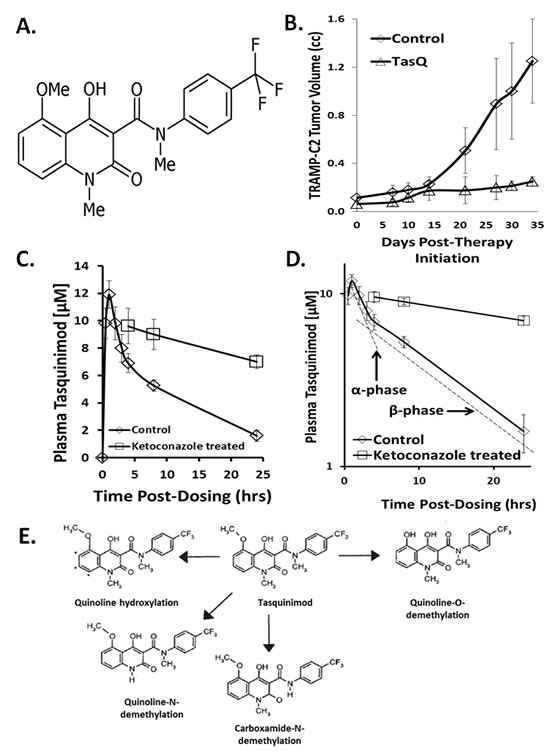 fig1