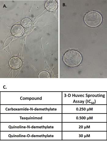 fig4