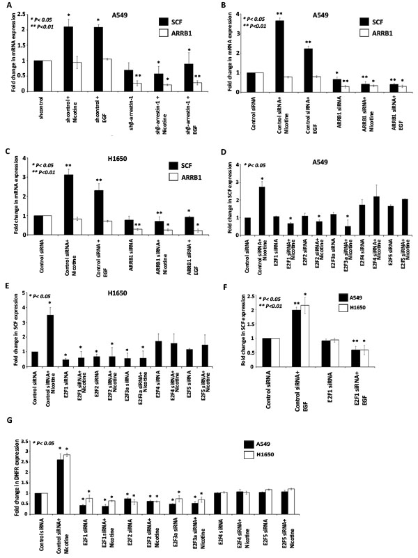 fig2