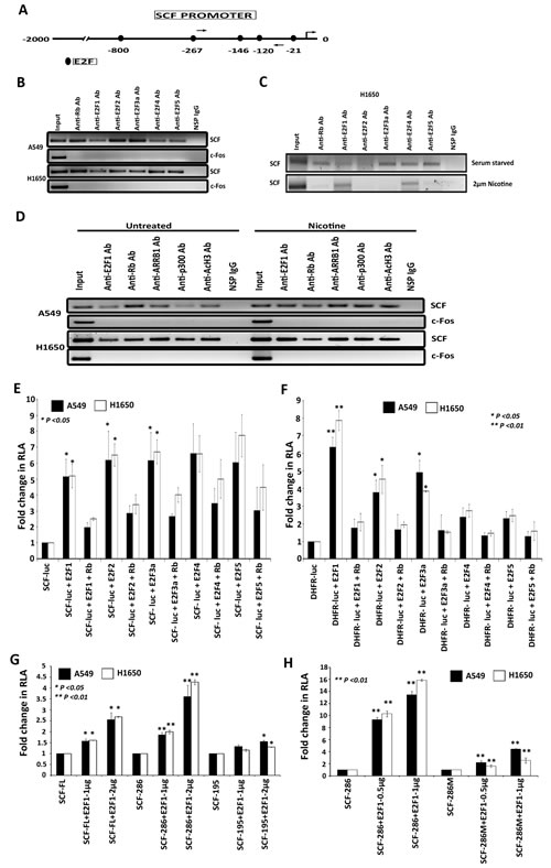 fig3