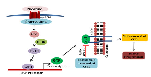 fig7