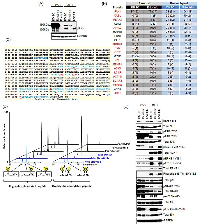 fig4