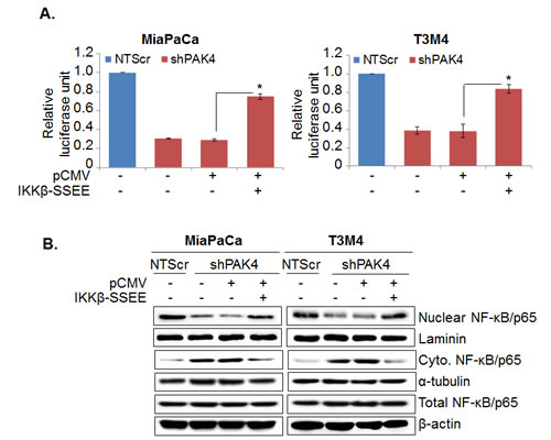 fig6a