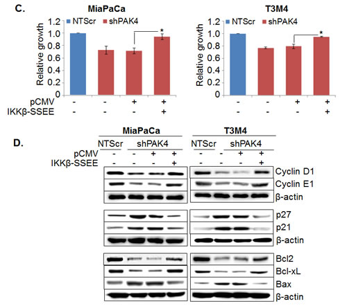 fig6b