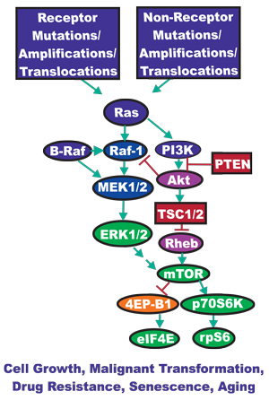 figure 1 white letters.pdf