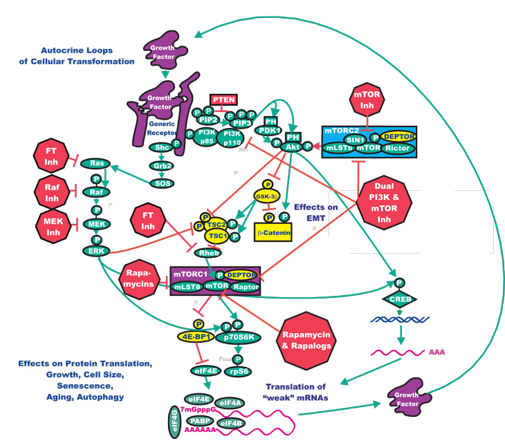 figure 3 white letters.pdf