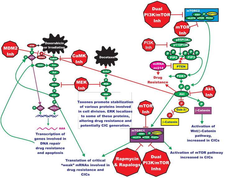 figure 4 white lettering.pdf