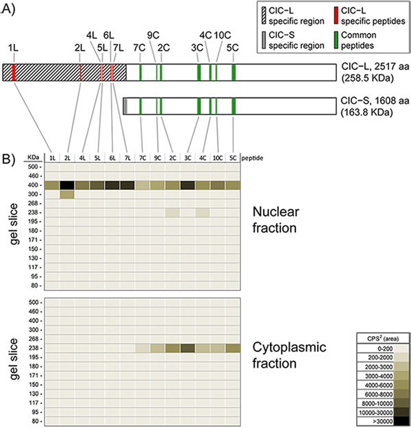 fig2