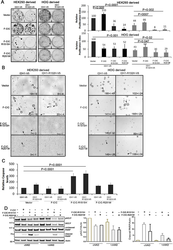 fig8