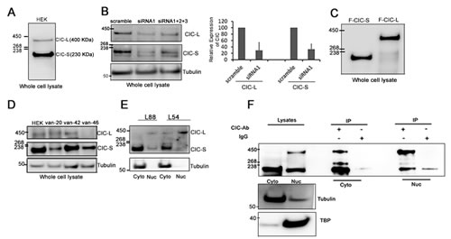 fig1