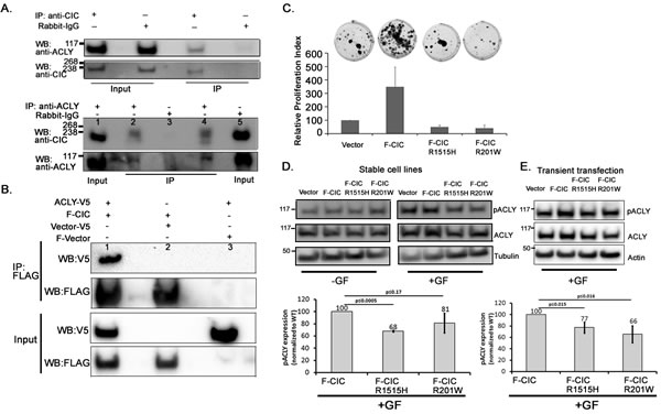 fig6