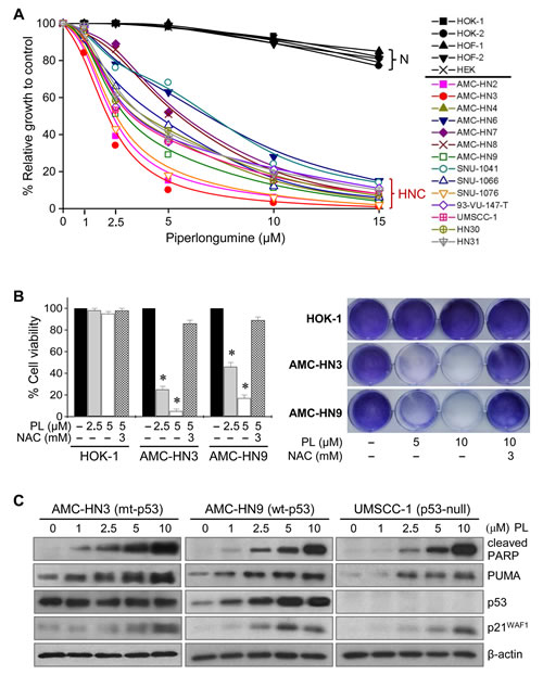 fig1